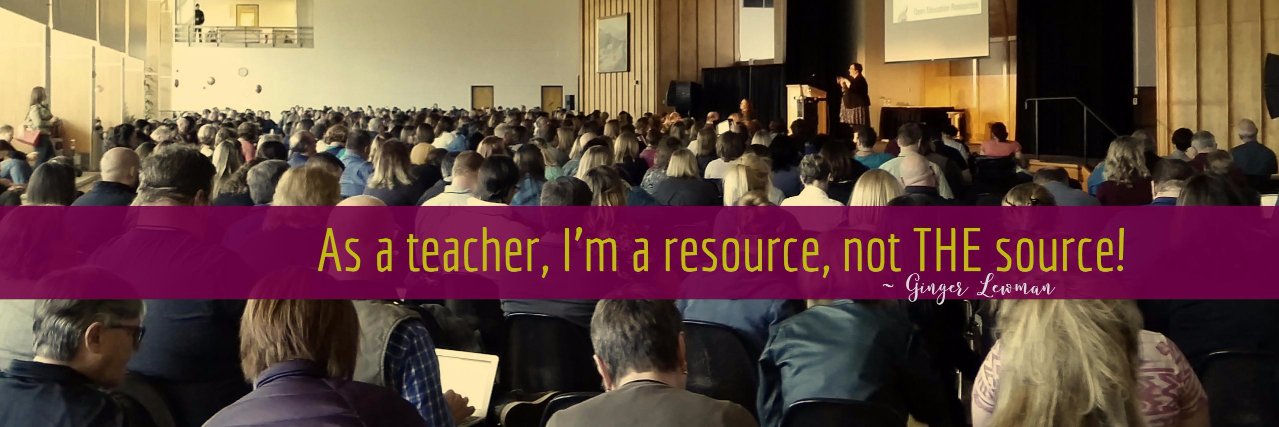 Ginger Lewman banner