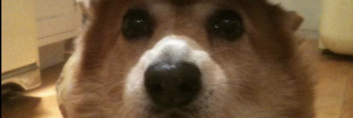 AlejandroMD99's profile banner image