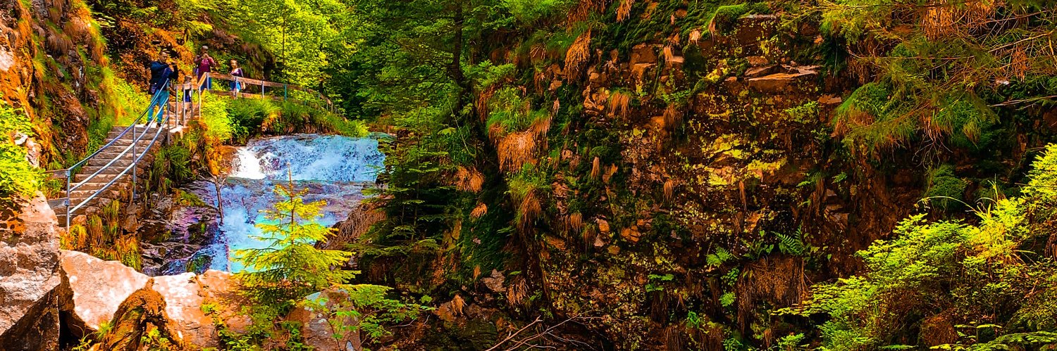 TheNaturalLog87's profile banner image