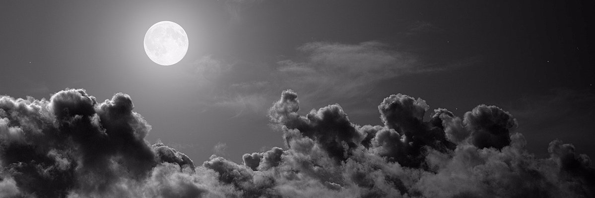 Ethan Travis banner