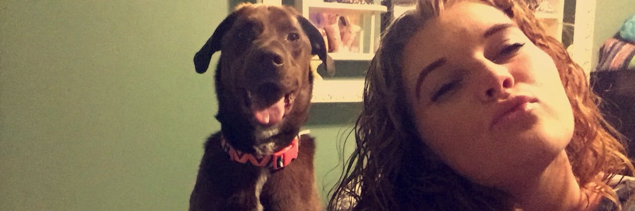 kaylin_des's profile banner image