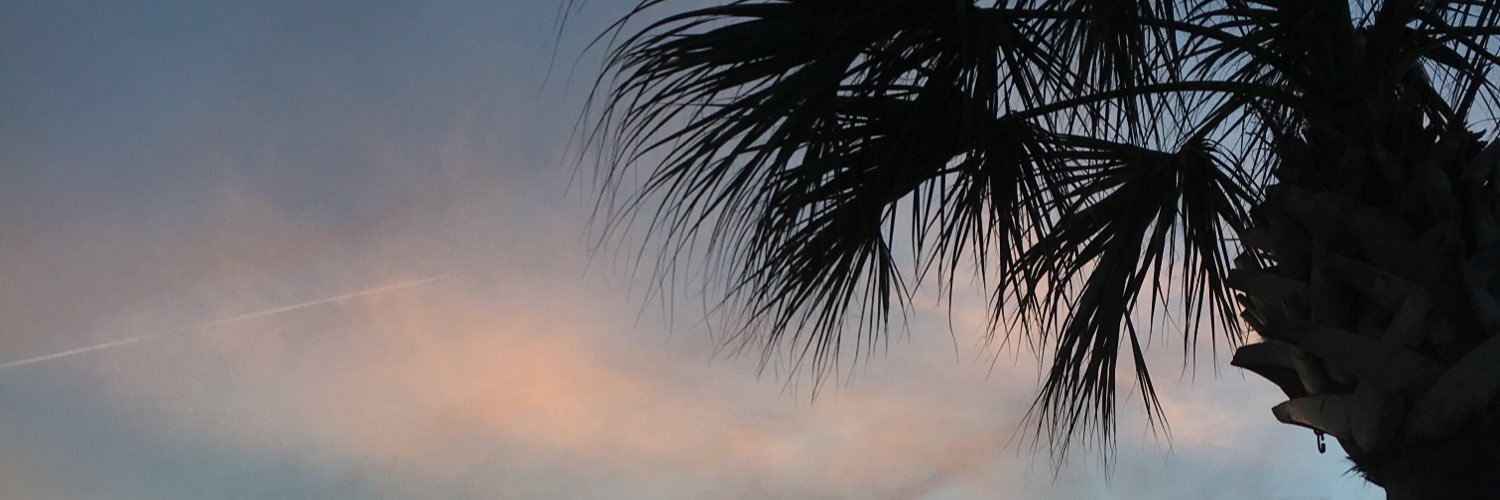 A_Bergendahl's profile banner image