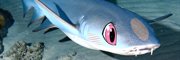 Titshark Profile Banner