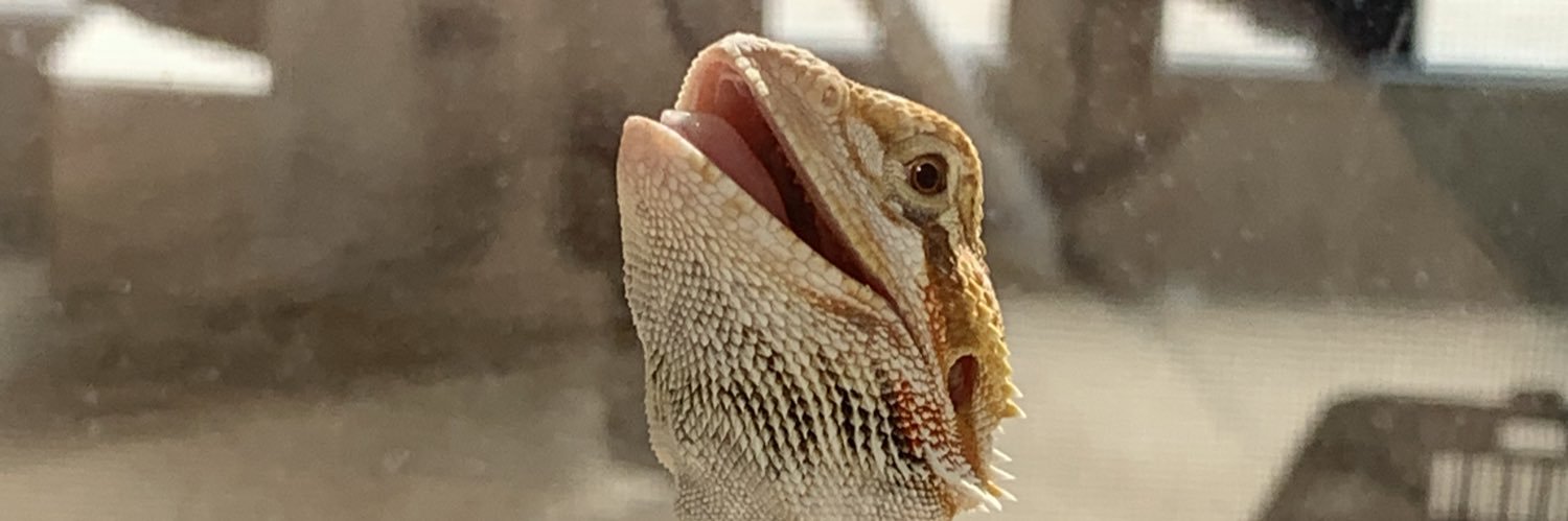 aikmnty's profile banner image