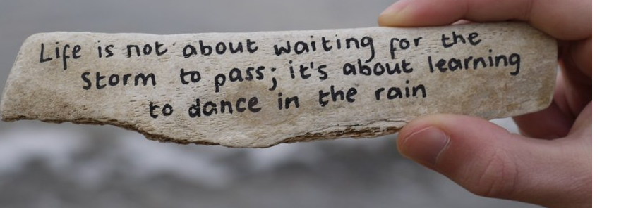 Linnet Richmond banner