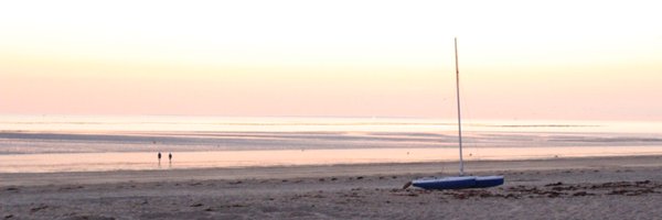 tortue_timideFR Profile Banner