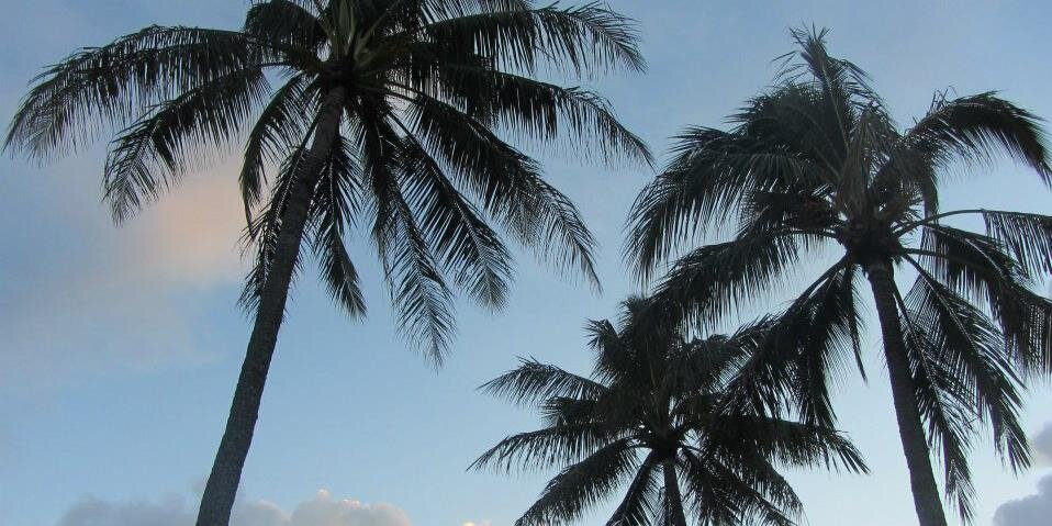 SandraFobert's profile banner image