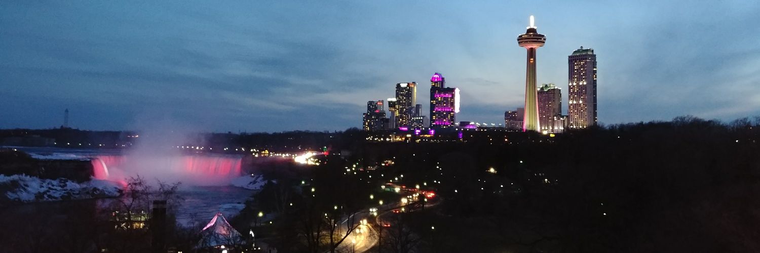 Molly Polverento banner