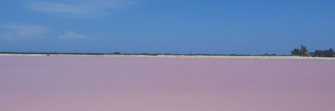 Rosiiii07's profile banner image