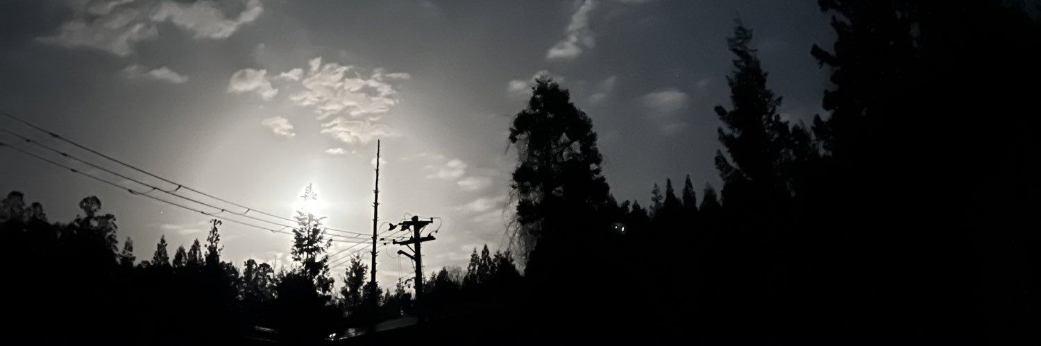 鈴木と猫 しげない工房の人 banner