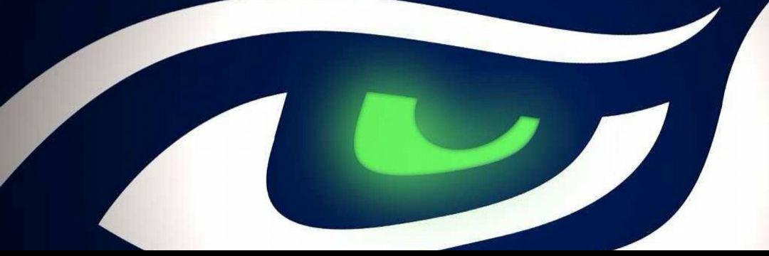 C_HawkPrincess's profile banner image