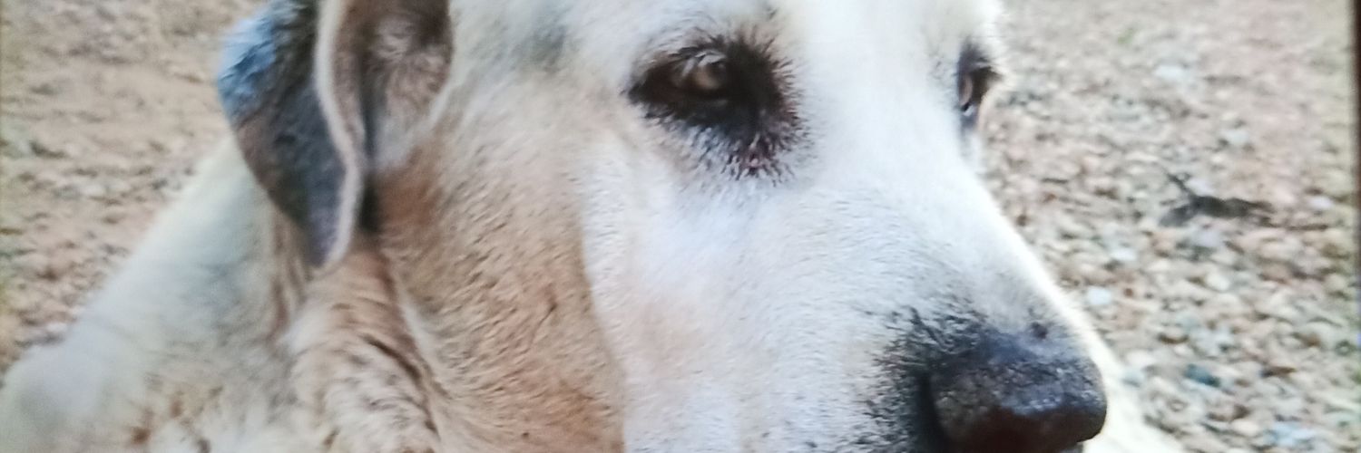 MartiusGP's profile banner image
