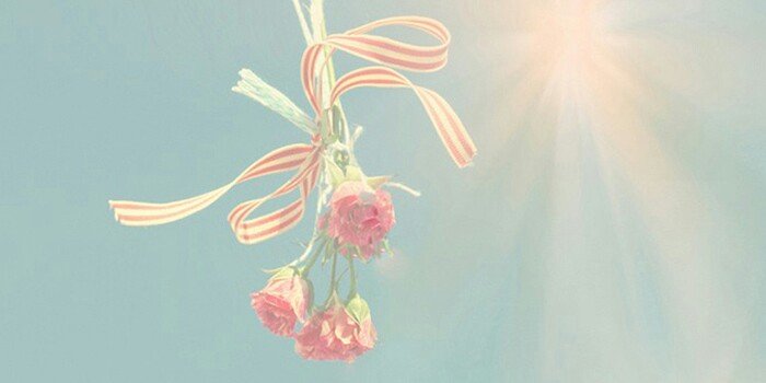 halidamalia's profile banner image