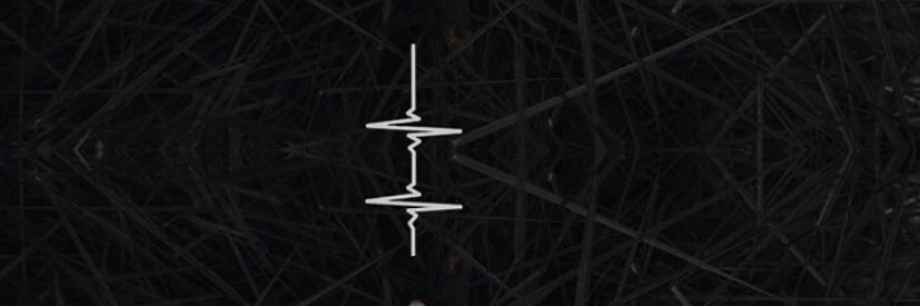 wndSL's profile banner image
