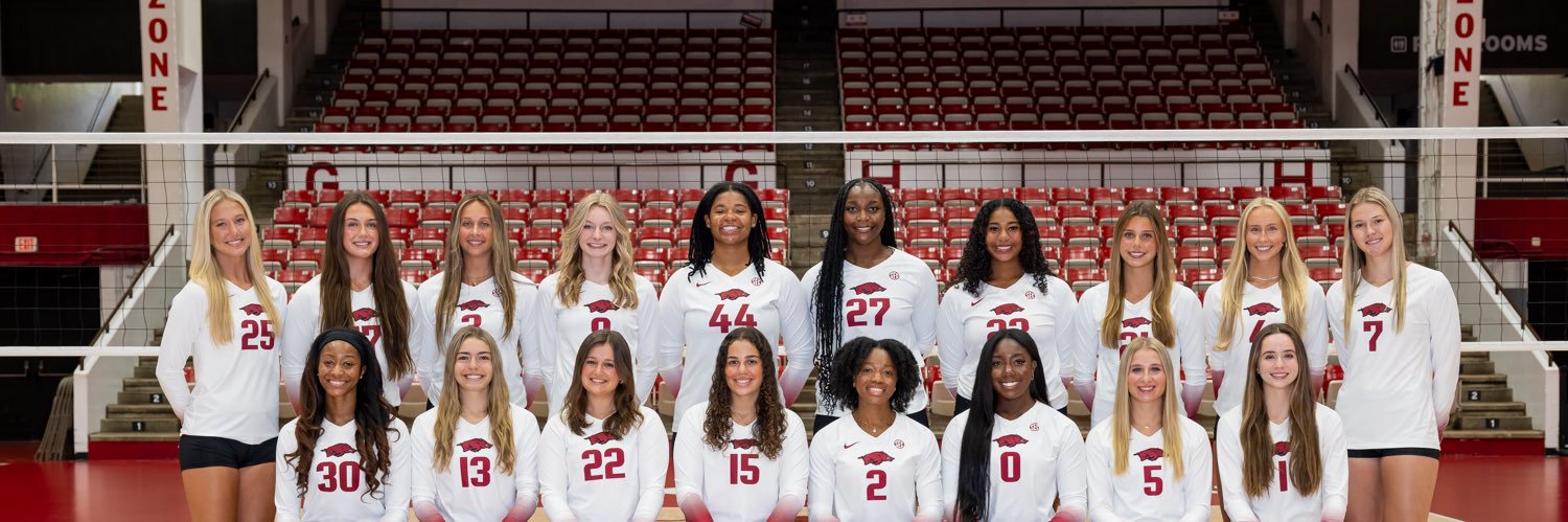 Razorback Volleyball banner