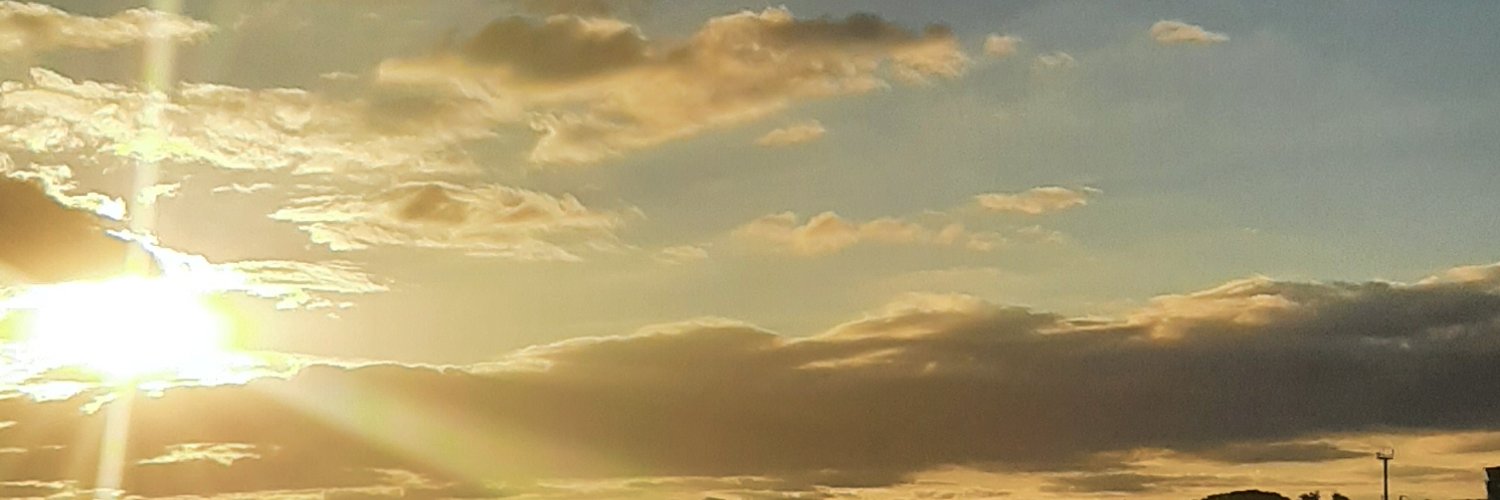 Caro Losada Prato banner