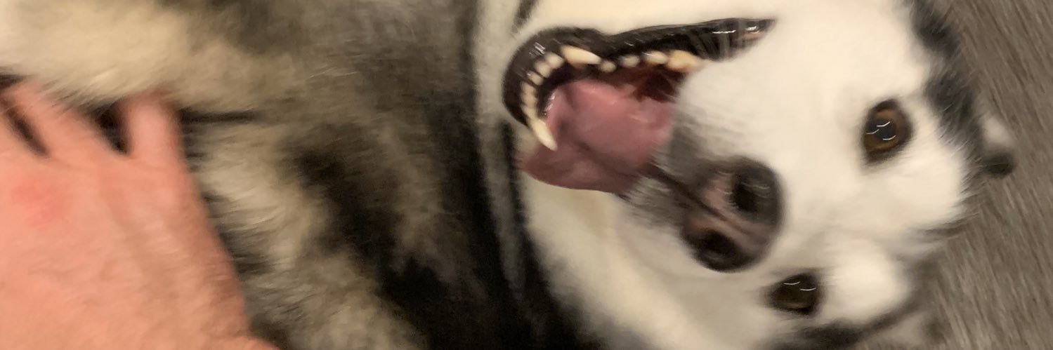 IanDorwardMD's profile banner image