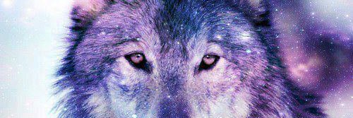 Small_mizu's profile banner image