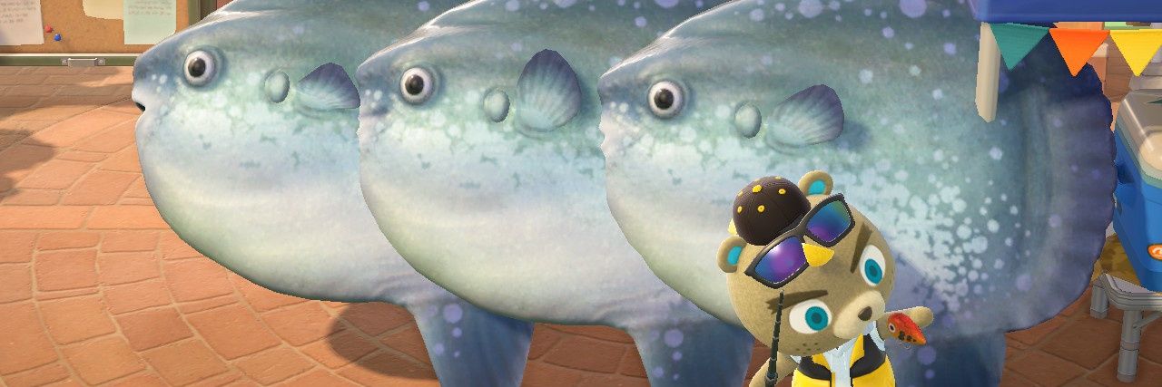 kandy444's profile banner image