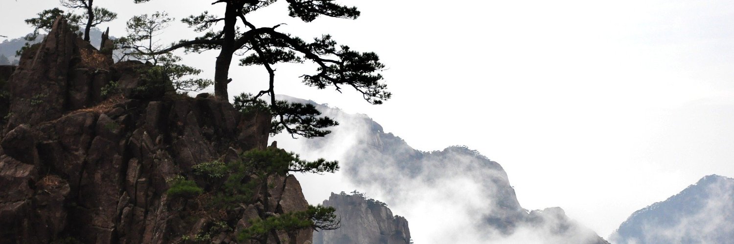 Carine_MdS's profile banner image