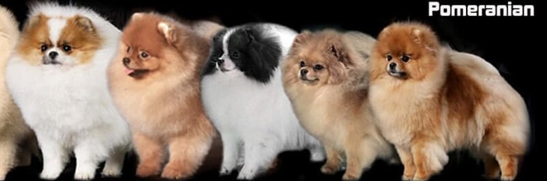 heather_bemis's profile banner image