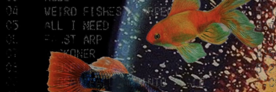Julimd97's profile banner image