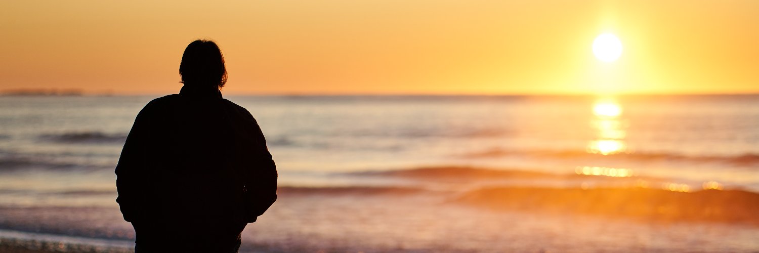 FineWolf's profile banner image