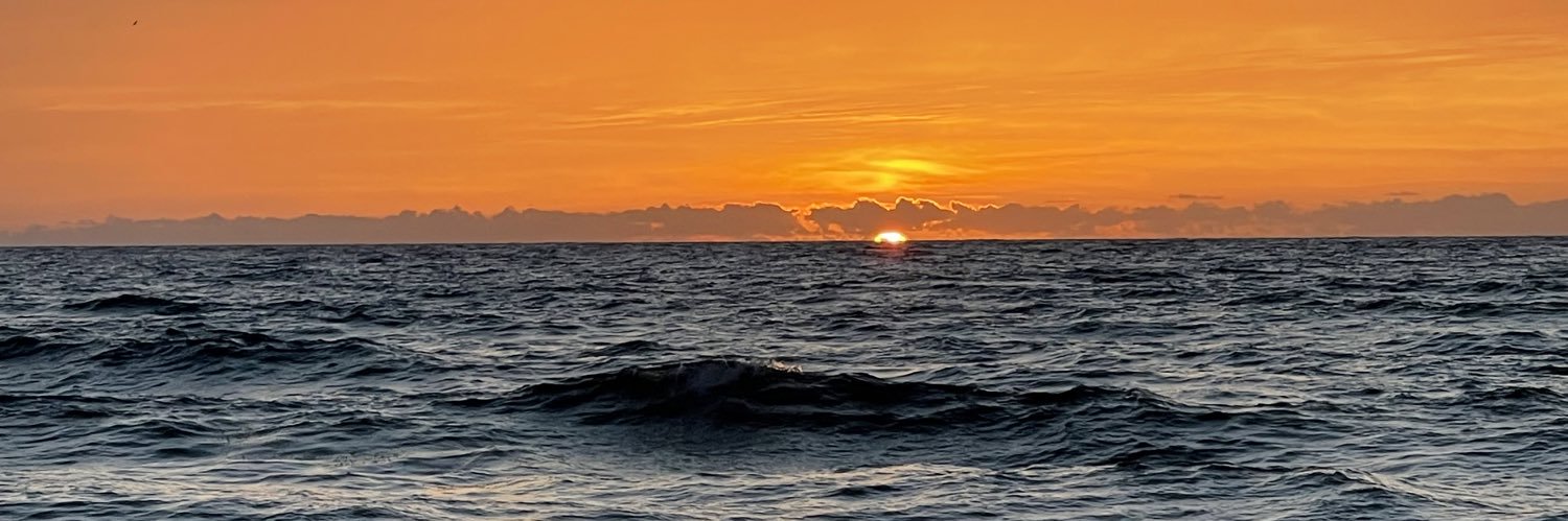 amysimp333's profile banner image