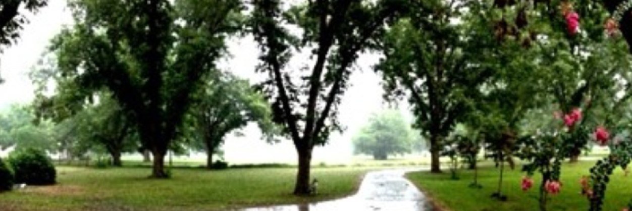 beeworley's profile banner image