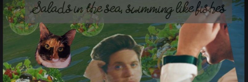 katiebug7557's profile banner image