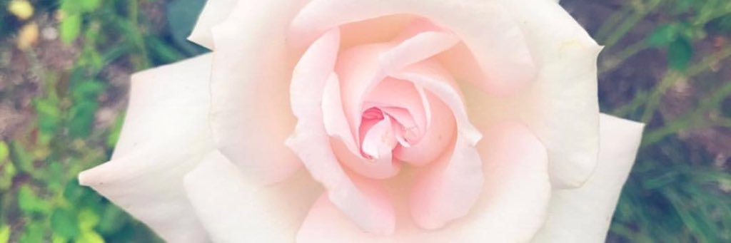 Karenavirginia's profile banner image