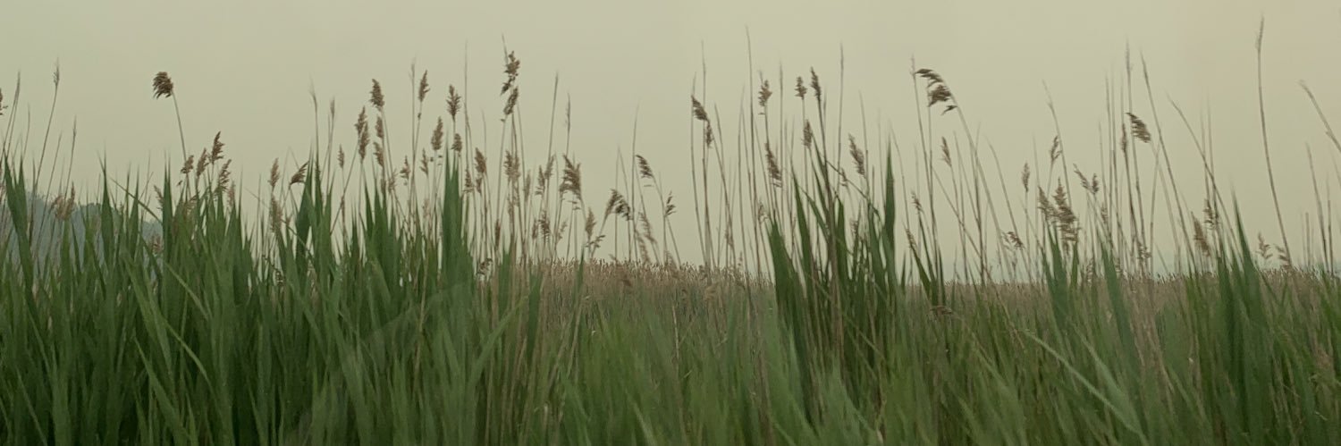 bundledthoughts's profile banner image