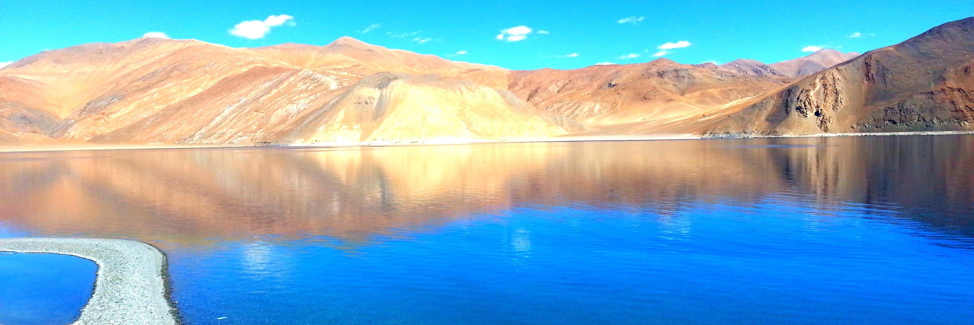 Rohini2006's profile banner image