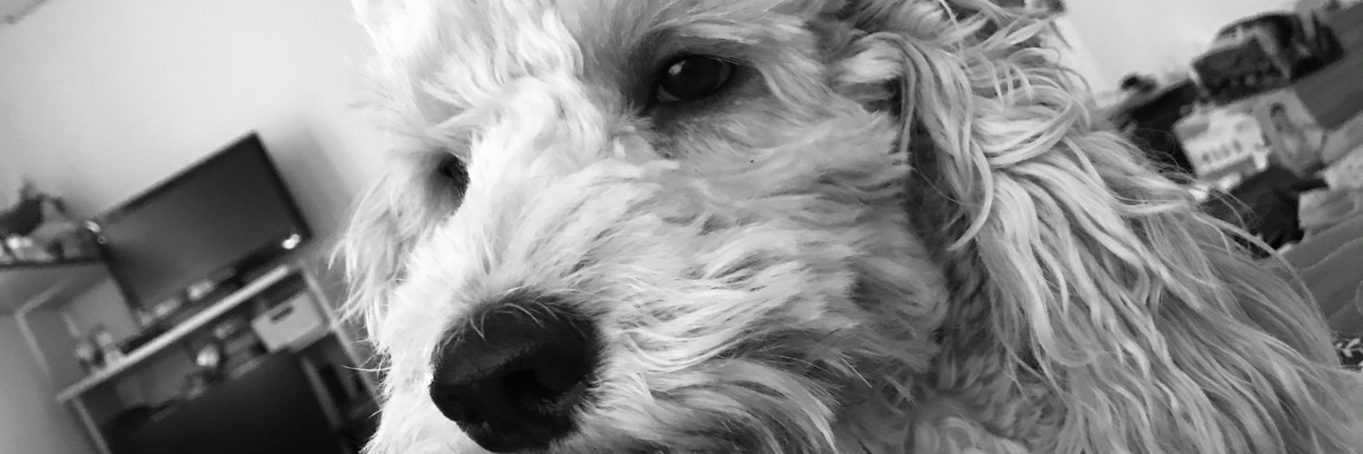 gizmitopink's profile banner image