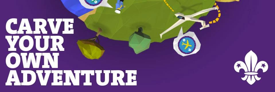 Chorley Scouts banner