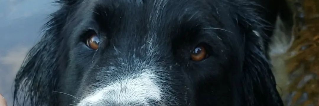 DalayneDavis's profile banner image