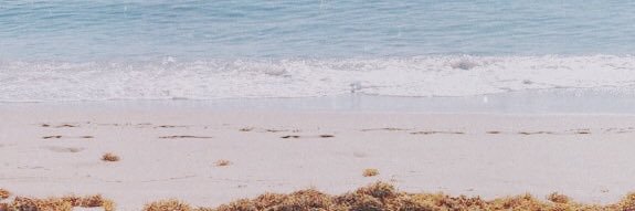 FlorRizzetti_'s profile banner image
