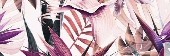 MoaKnutas's profile banner image