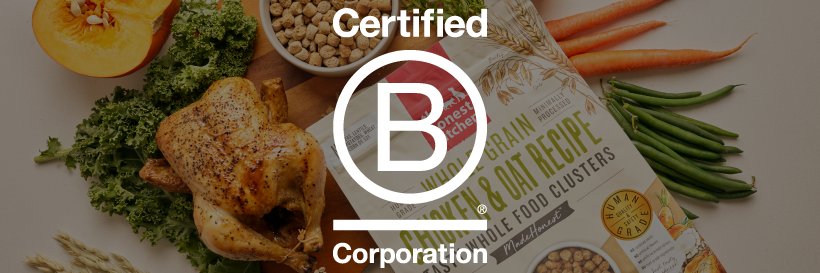 The Honest Kitchen banner