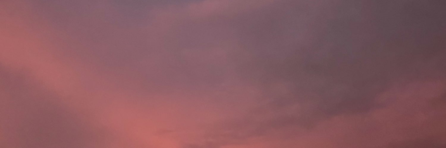 elmirams's profile banner image