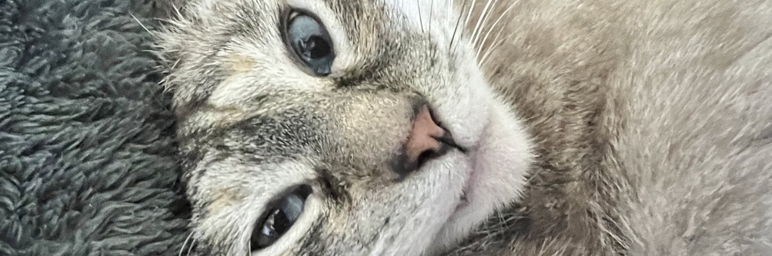 MorganAWatkins's profile banner image