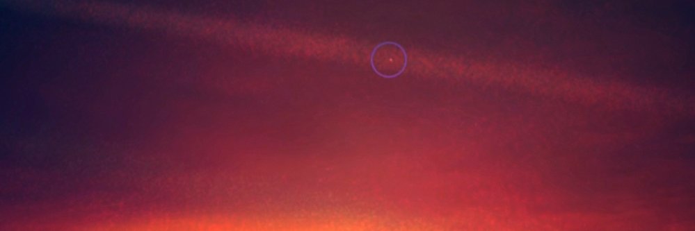 Tacuazzin's profile banner image