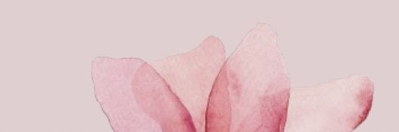 arnicool's profile banner image