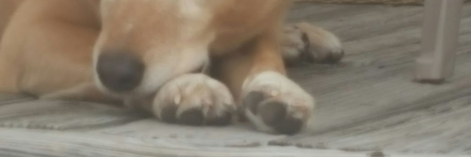 ckentmc's profile banner image