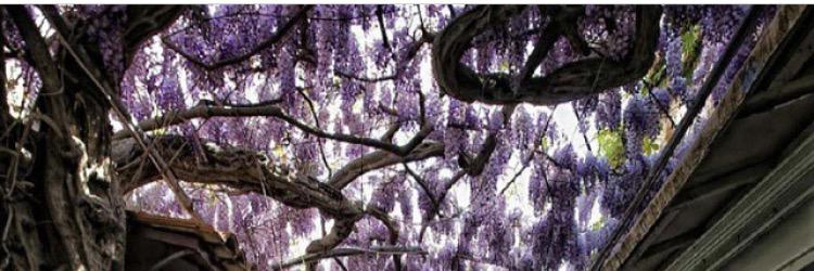 sbangh's profile banner image
