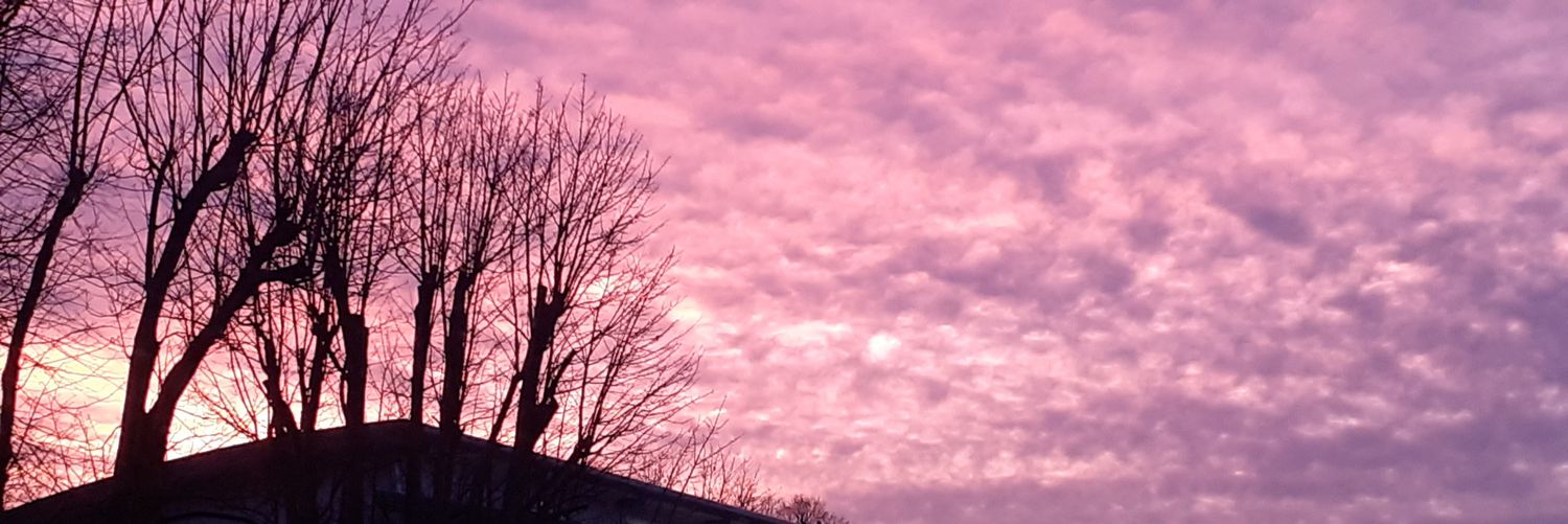 HelenMBrook's profile banner image
