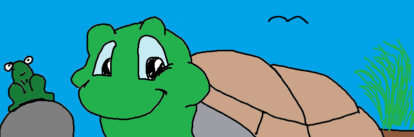TheTurtleTubes's profile banner image