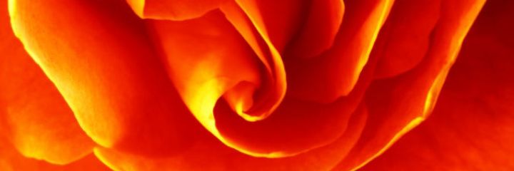 TeaGrl3's profile banner image