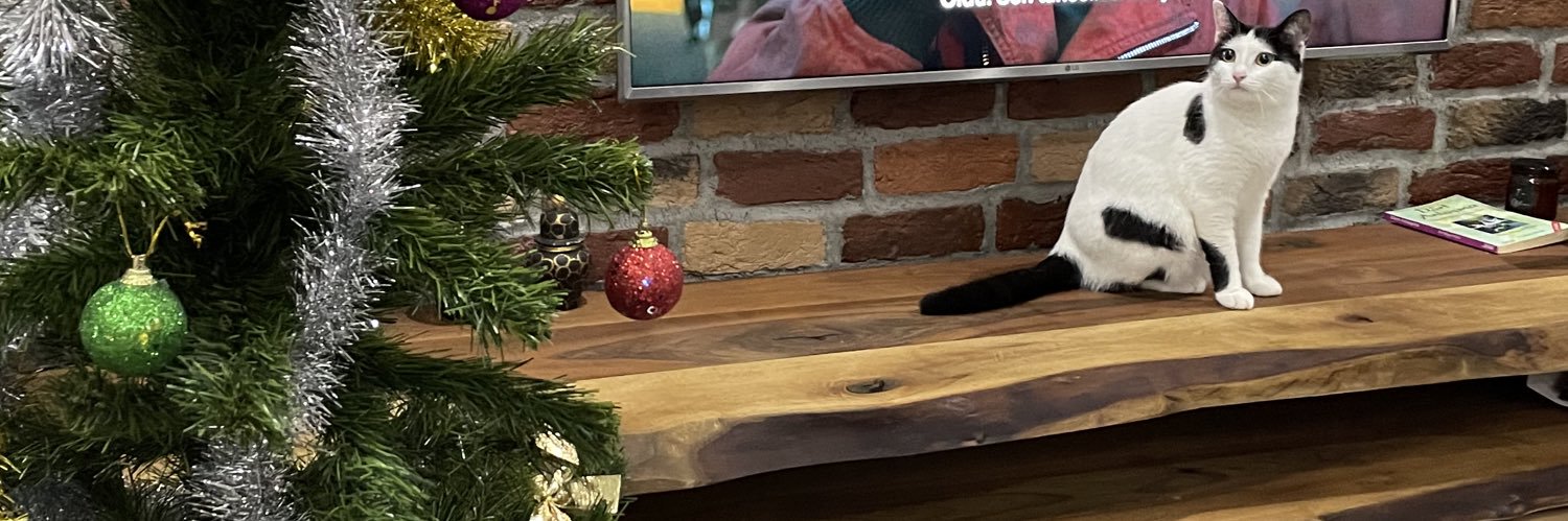mutlunak's profile banner image