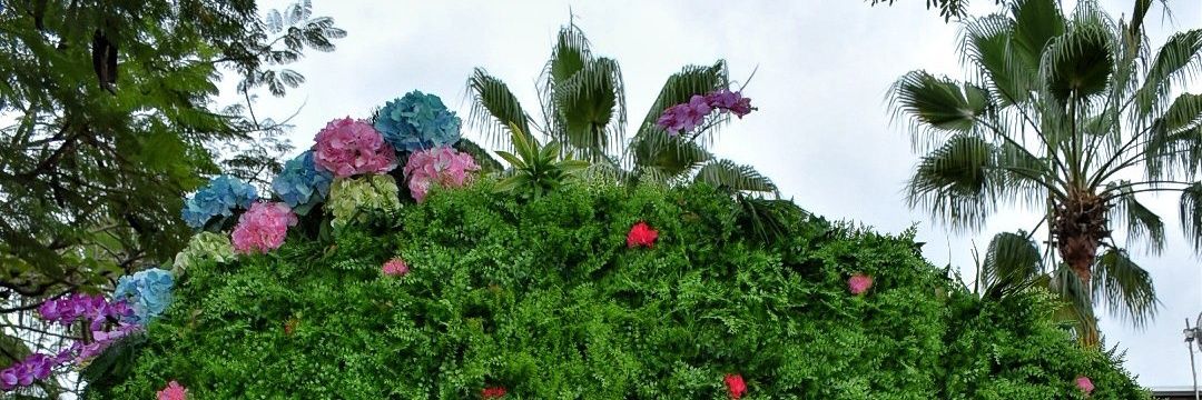 FLOWERCANTOS1's profile banner image